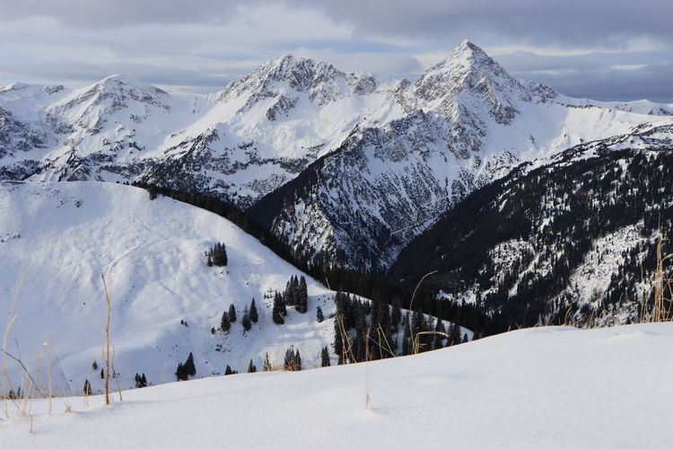 Der Blick vom Neunerköpfle geht auch in die Lechtaler Alpen