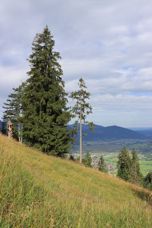 Erste Aussichten oberhalb von Oberammergau