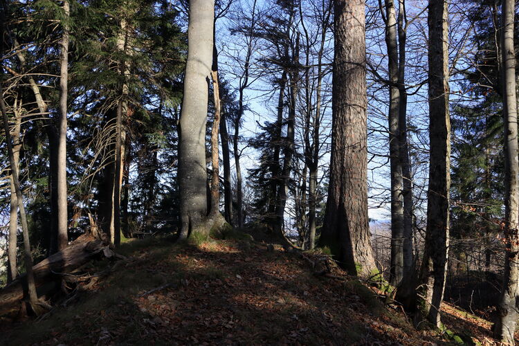 Unspektakulär gibt sich der Höhenberg an seinem höchsten Punkt