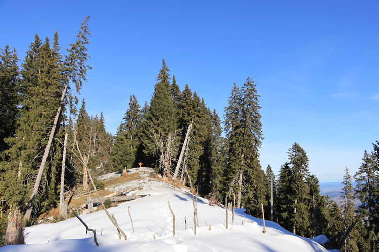 Sonne, blauer Himmel und Schnee - so stellt man sich den Bergwinter vor!