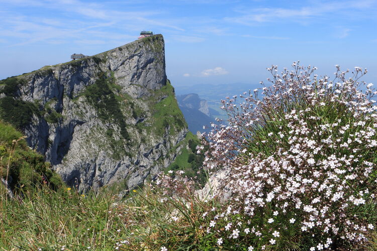 Der Schafberg gehört zu den markantesten Gipfeln im Salzkammergut