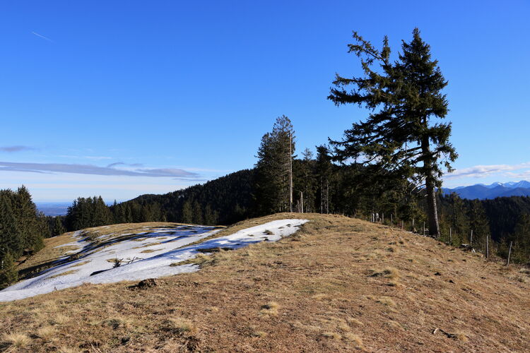 Der Angerlkopf ist im Winter wenigstens nicht allzu matschig