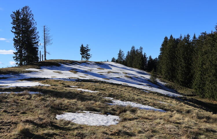 Auf den letzten Metern im Anstieg zum Angerlkopf