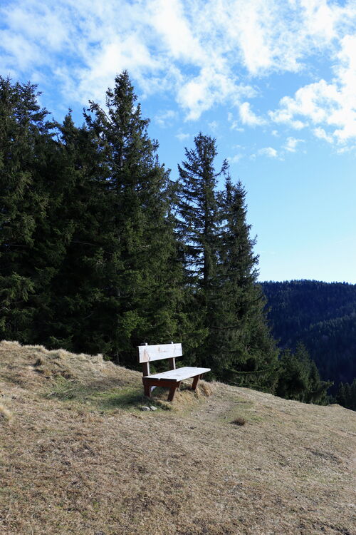 Keine Aussicht, aber immerhin eine sonnige Bank am Stallauer Eck