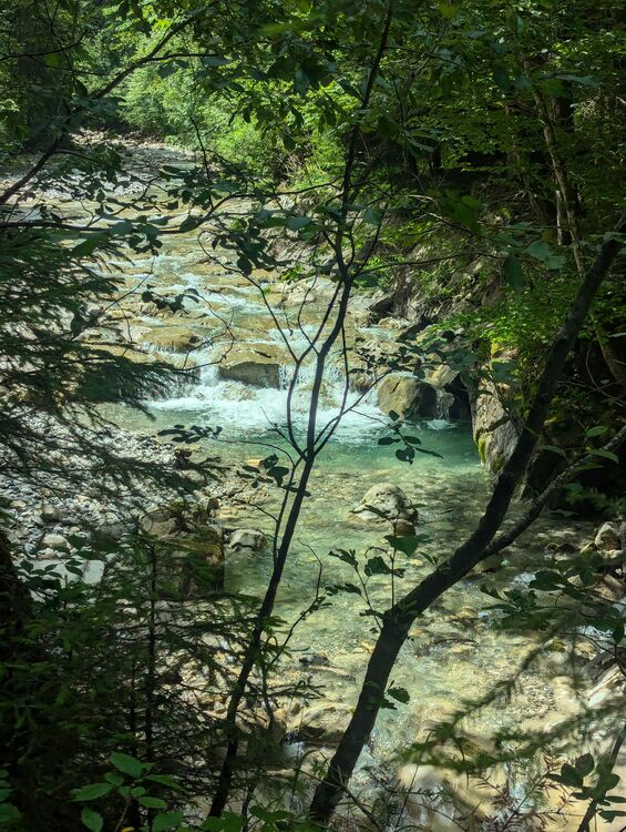 Der Arzbach begleitet den talnahen Wegesabschnitt