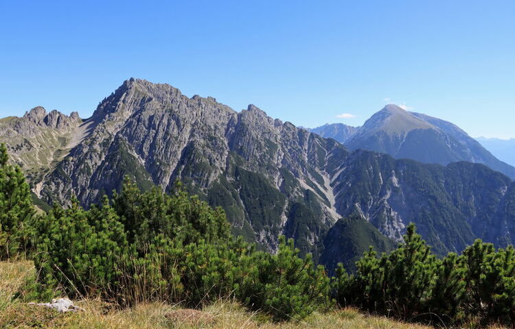 Die Aussicht vom Rauenkopf kann ich ganz ungeteilt genießen