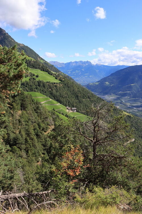 Der Sommer blitzt am Meraner Höhenweg noch einmal auf