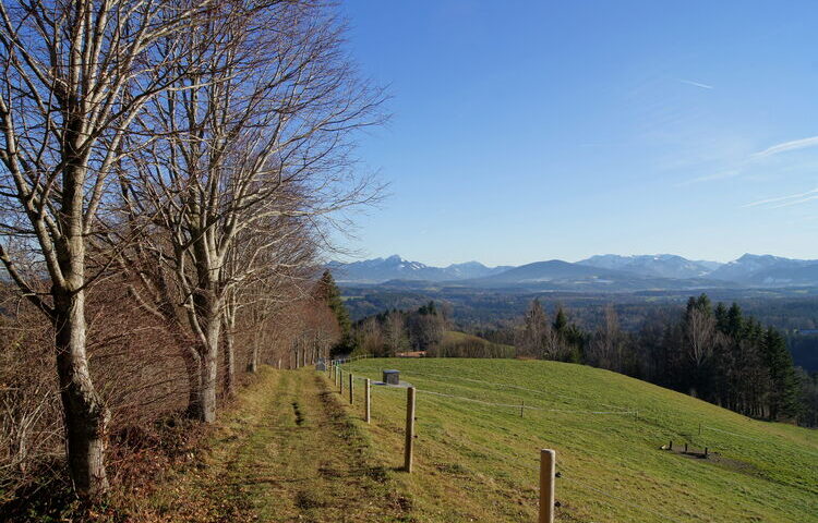 Wunderbare Aussicht vom Fentberg in einem schneearmen Winter