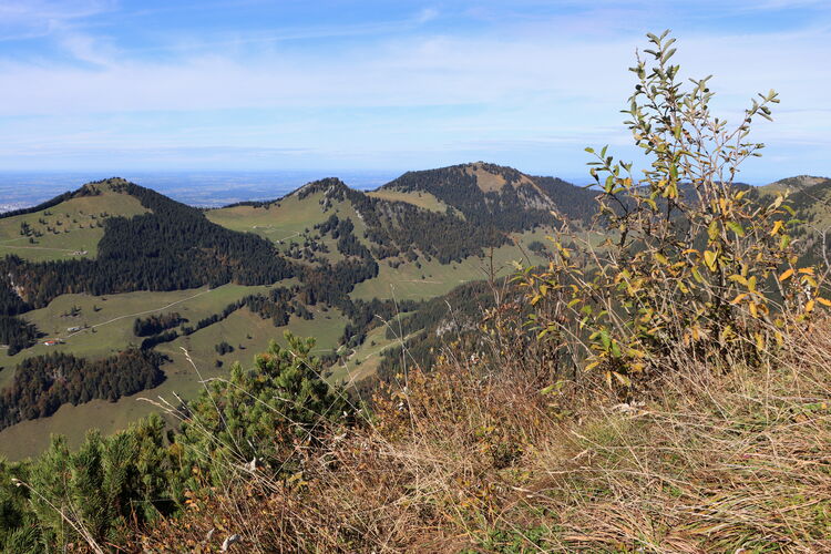 Wunderbare Herbstfarben beim Blick zur benachbarten Hochries