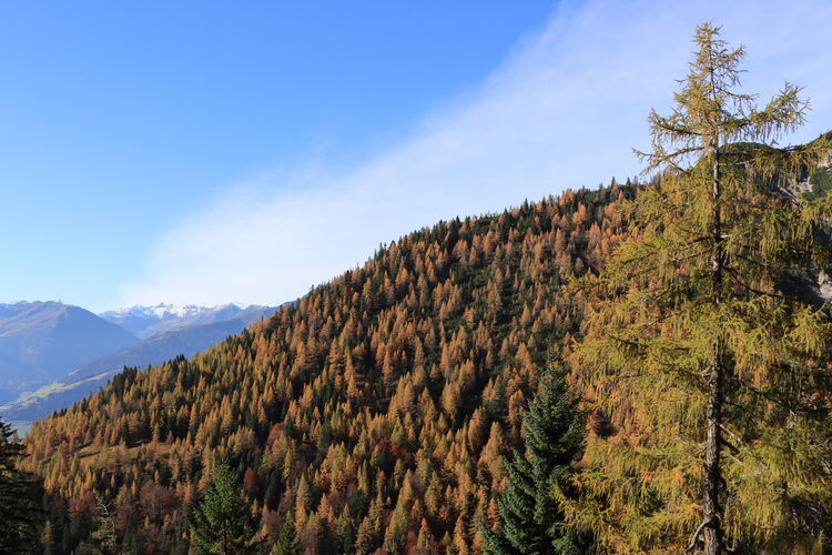 Der Herbst hat in der Erlspitzgruppe längst Einzug gehalten