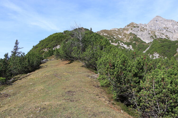 Im Aufstieg über den schnurgeraden Grat zum Zirler Kreuzjöchl