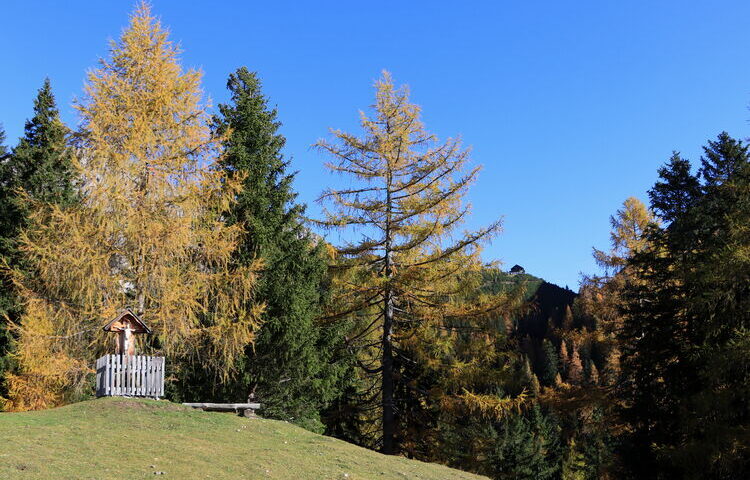 Goldener Herbst an der Solnalm