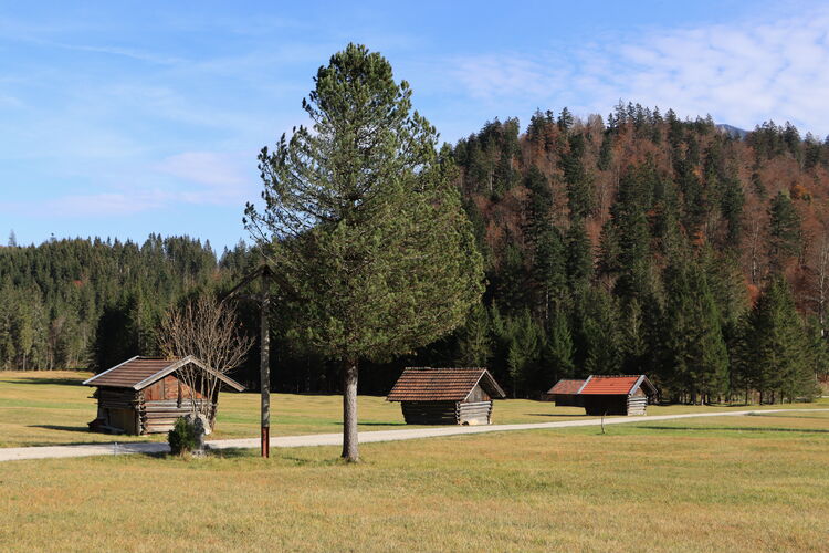 Herbststimmung auf den Reschbergwiesen vom Feinsten!
