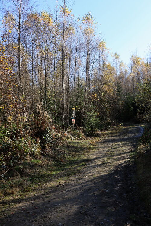Meist gemütliche Fahrwege führen in der Novembersonne bergwärts
