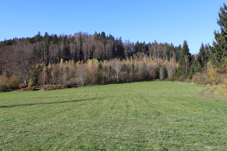 Die Harlachberger Spitze hebt sich im Gelände kaum ab