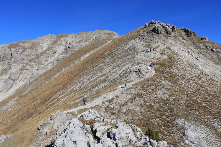 Puuh, da ist ungewohnt viel los!