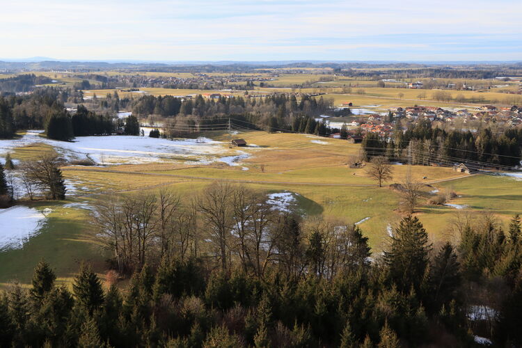 Zwischen Wald und Stromleitung - dieser Landeversuch hat nicht geklappt