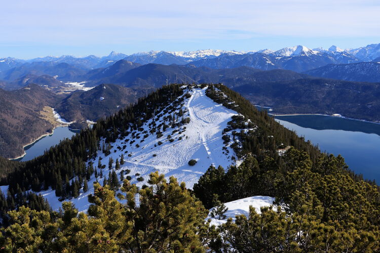 Rückblick vom Martinskopf zum Fahrenbergkopf
