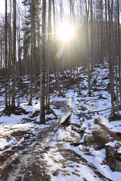 Letzte Sonnenstrahlen auf den letzten Metern kurz vor Urfeld