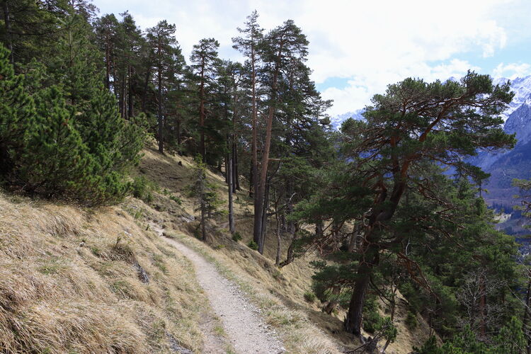 Der Abstieg nach Garmisch-Partenkirchen ist farbenarm und langwierig
