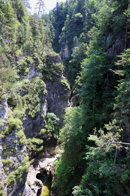Die Brücke über die Asamklamm sorgt für beeindruckende Tiefblicke
