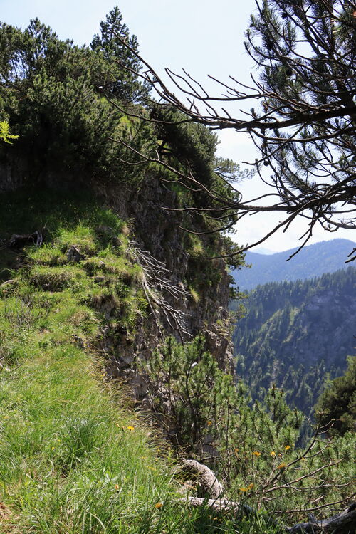 Schmaler Übergang zum Elferköpfl