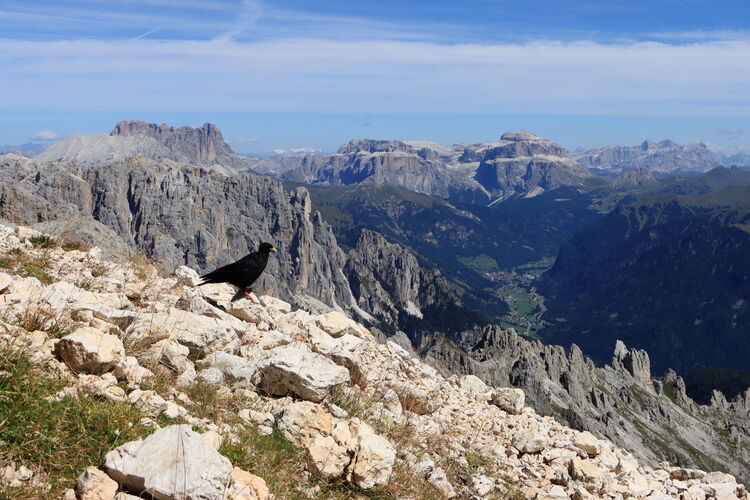 Einblicke ins Herz der Dolomiten - fast auf Augenhöhe!